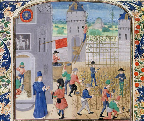 Travail de la vigne, dans Le Rustican, de Pierre de Crescens, Bruges, vers 1470, Bibliothèque de l'Arsenal, Paris. © BnF Paris