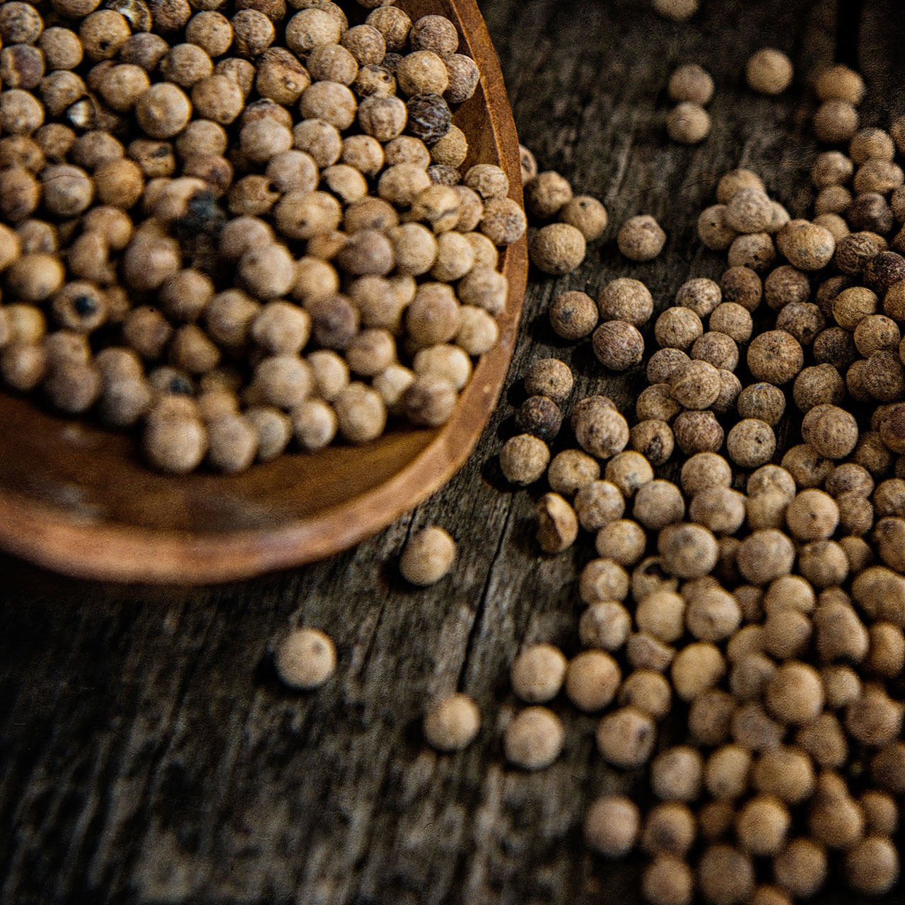 bg-oenology-aroma-item-2